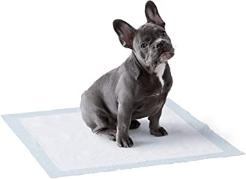PET MAGASIN Toallitas de Entrenamiento para Mascotas Almohadilla de Entrenamiento Lavable y Reutilizable Paquete de 3 S 